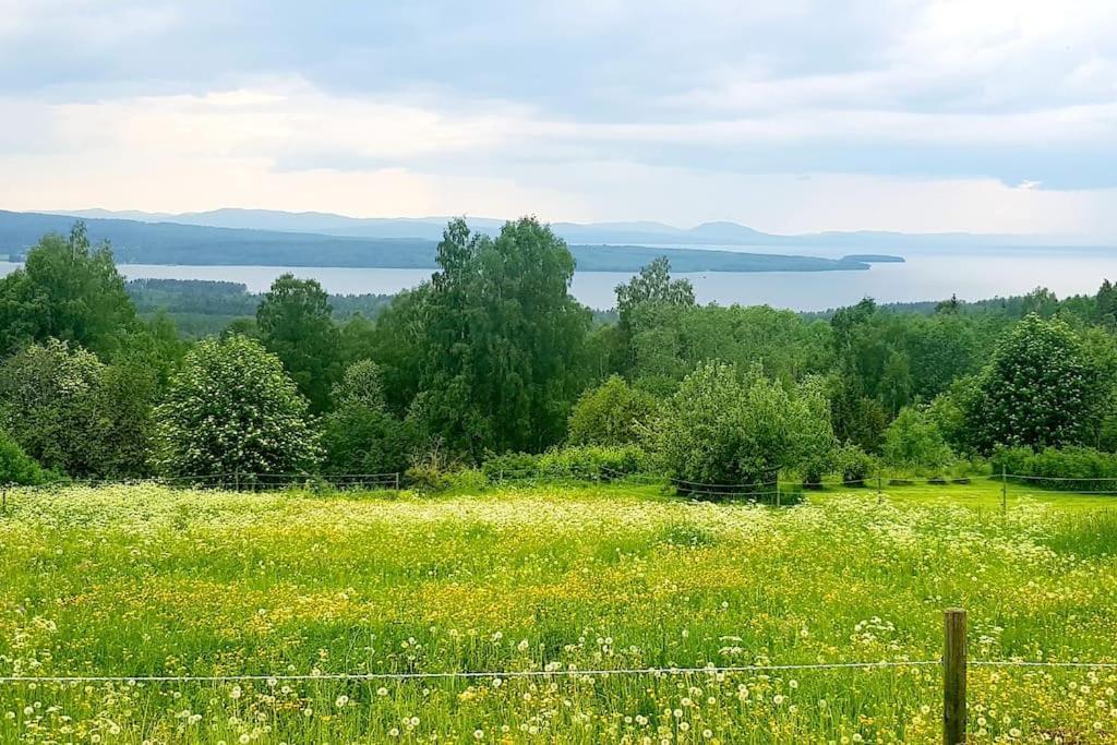 Utsikten -Exklusivt Nybyggt Timmerhus -Plintsberg. Tällberg Esterno foto